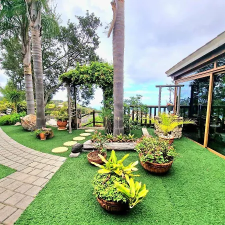 Loros Icod De Vinos Vila