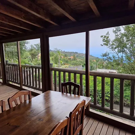 Loros Icod De Vinos *