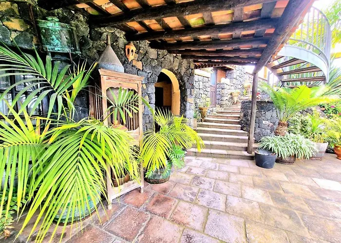 Loros Icod De Vinos Santa Cruz de Tenerife