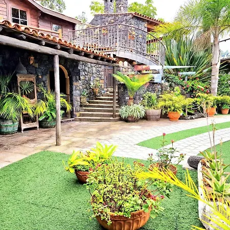 Loros Icod De Vinos * サンタクルスデテネリフェ