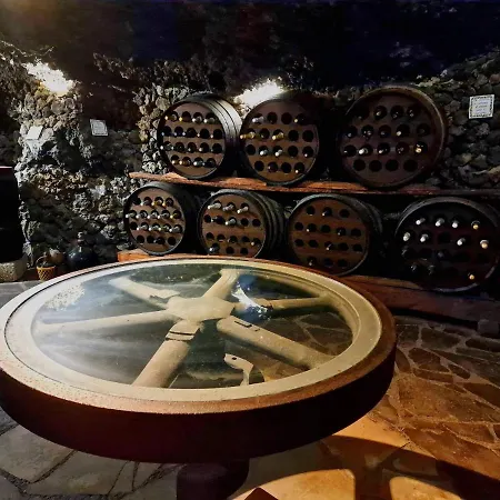 Loros Icod De Vinos *