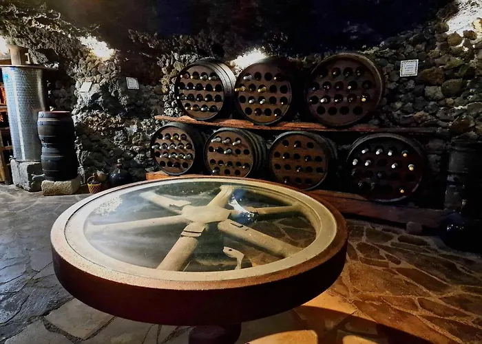 Loros Icod De Vinos *