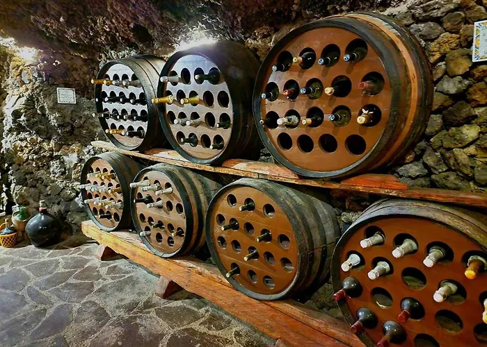 ヴィラ Loros Icod De Vinos *