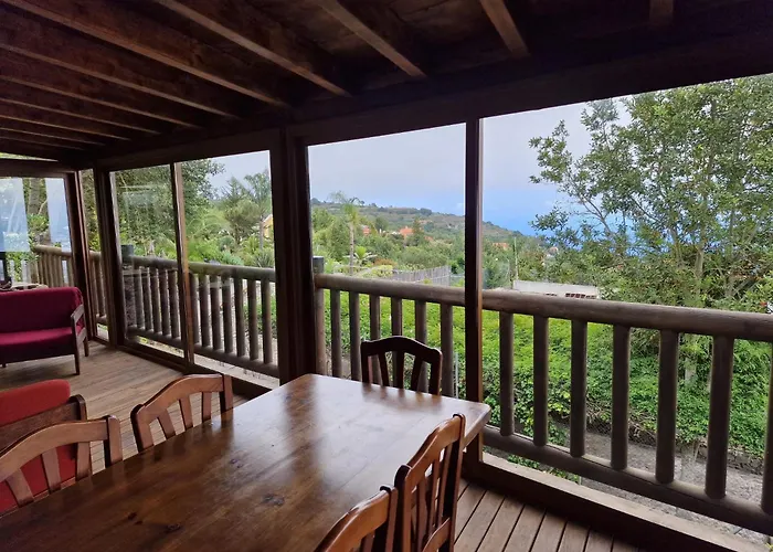 Loros Icod De Vinos *