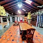 Loros Icod De Vinos *
