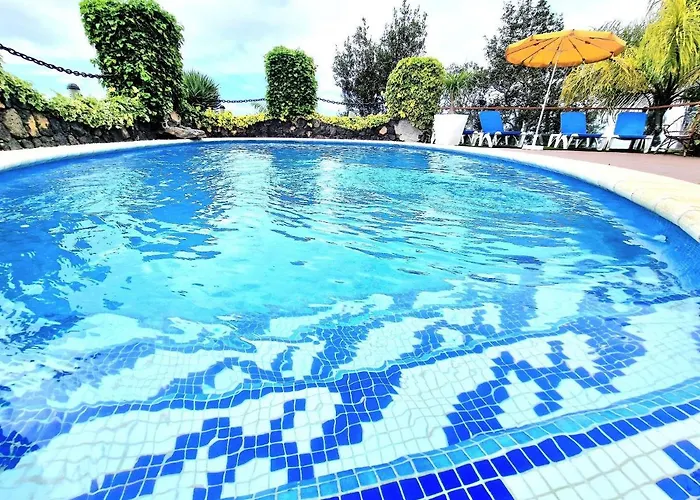 Loros Icod De Vinos By Hrtenerife Net